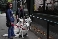 Coralie, Keona & Elli